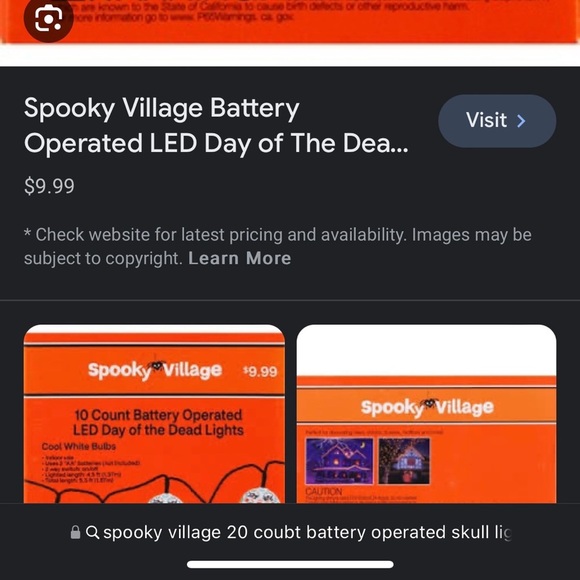 NWT Spooky Village 20 Count Battery Operated Halloween LED Skull 💀 light set - Picture 4 of 4